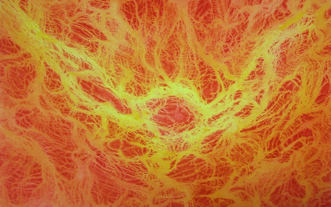 Orange Abstract
