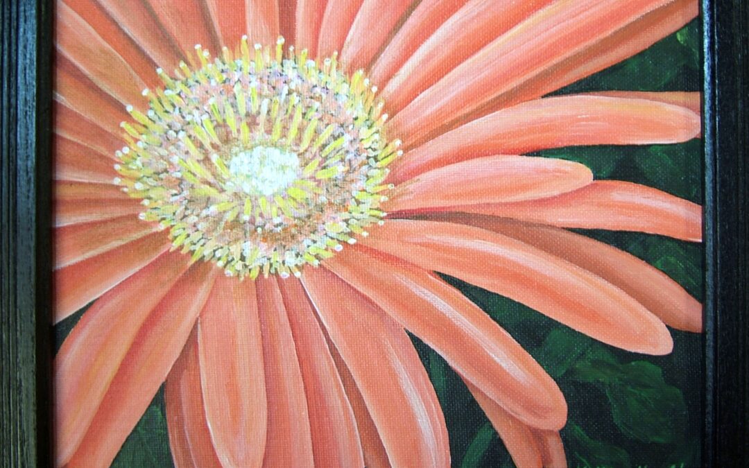Orange Gerbera Daisy
