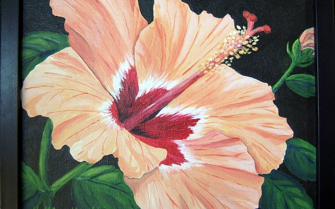 Peach & Red Hibiscus