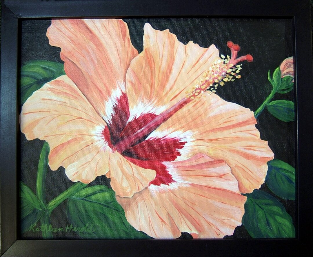 Peach & Red Hibiscus