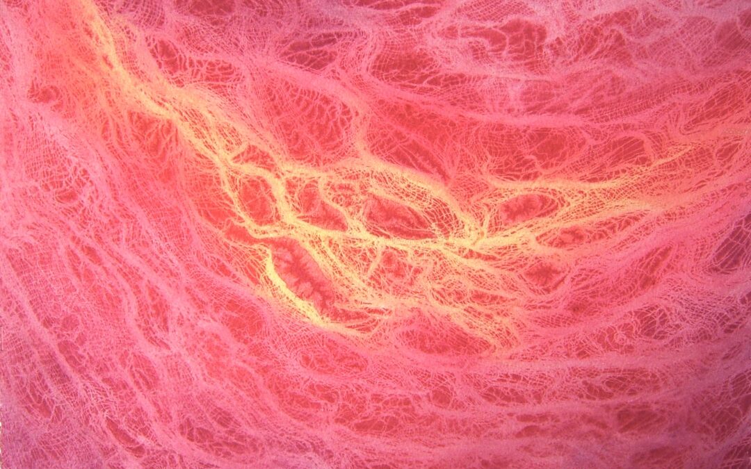 Pink Abstract