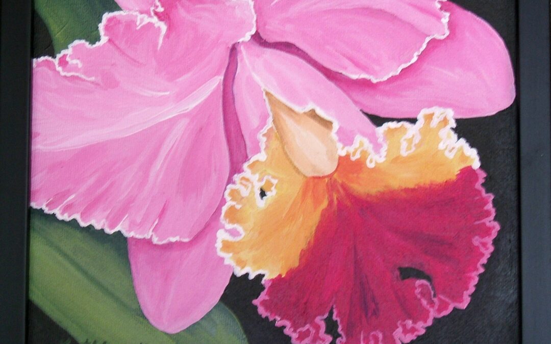 Pink Orchid #1