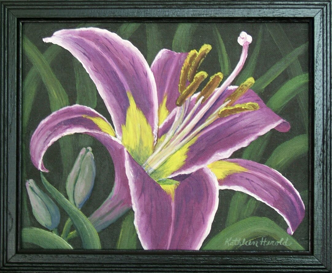 Purple Lily