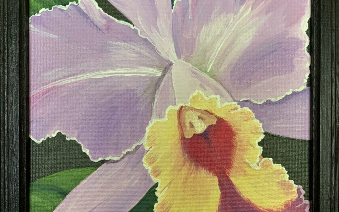 Purple Orchid