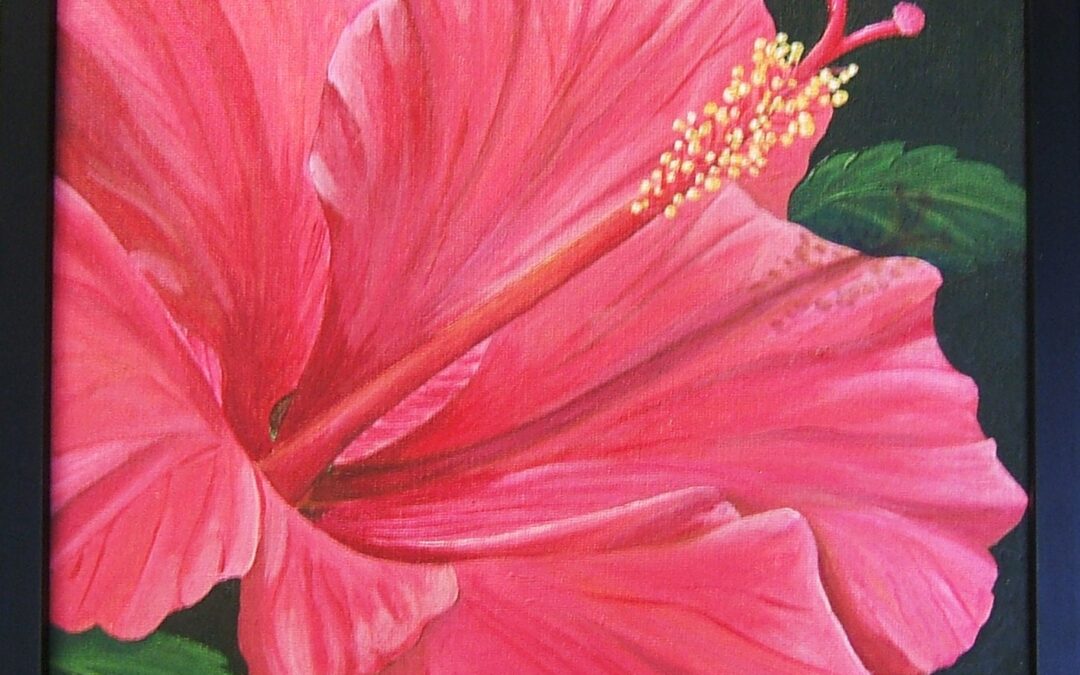 Red Hibiscus