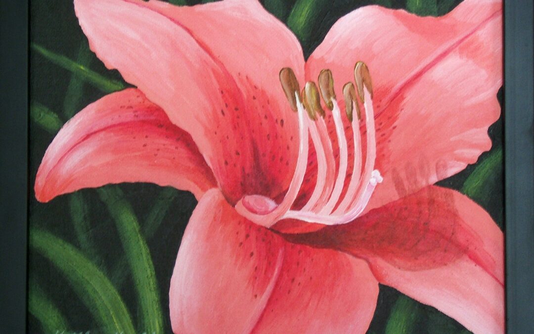 Salmon Tiger Lily