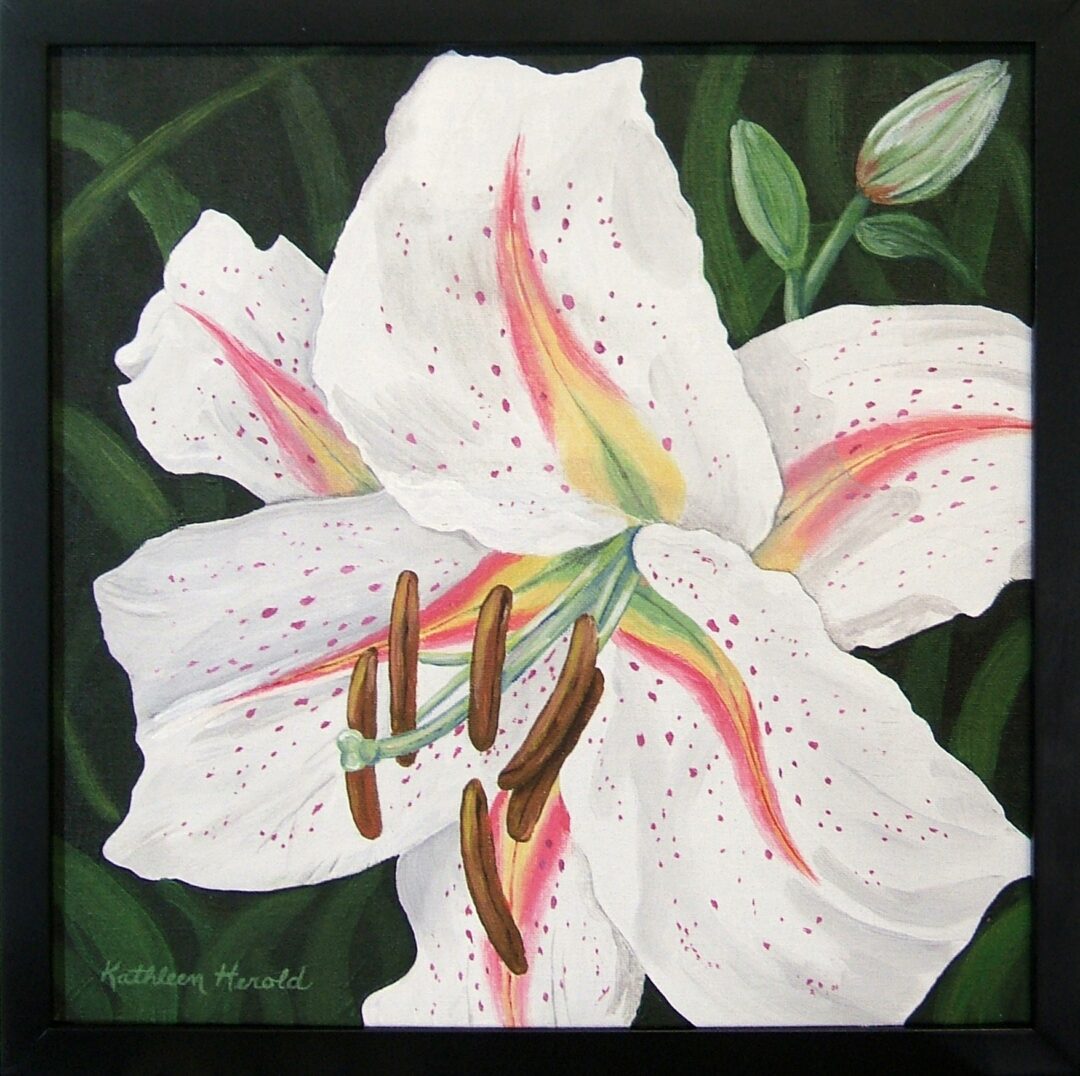 White Tiger Lily