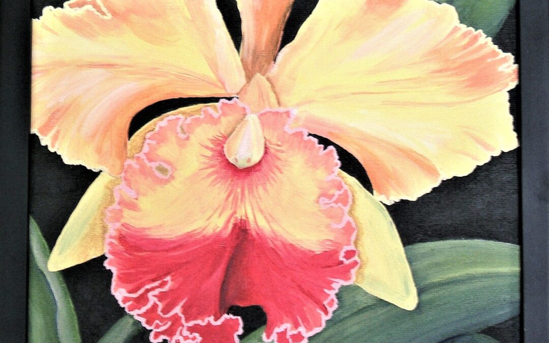 Yellow Orchid