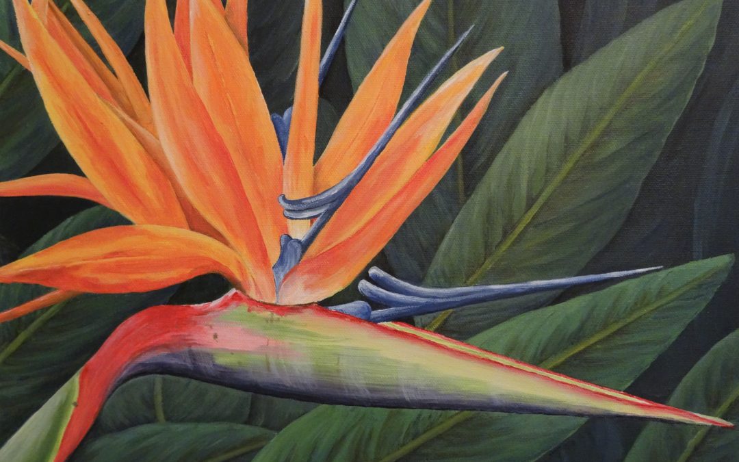 Bird of Paradise 2