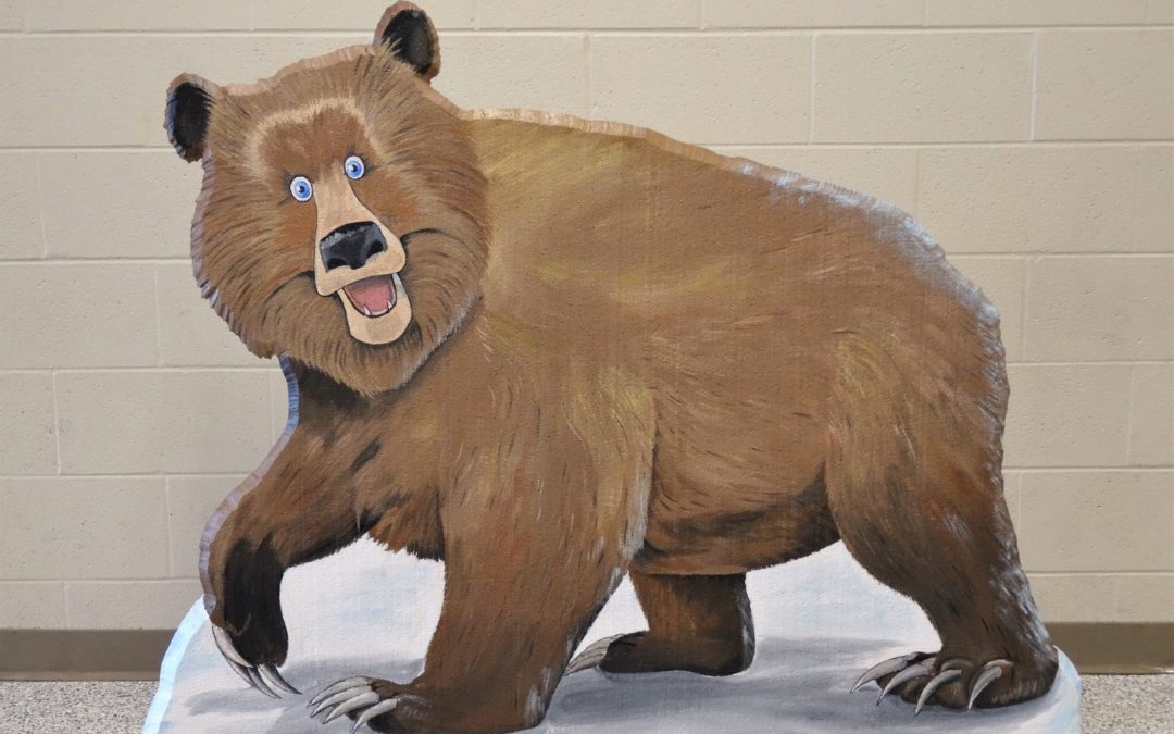 Brown Bear