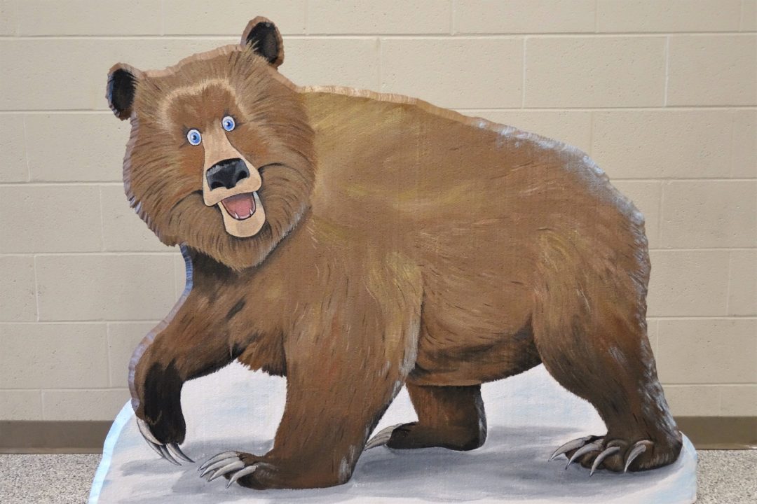 Brown Bear