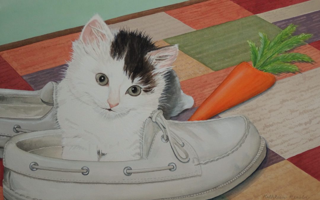 Kitten in Shoe