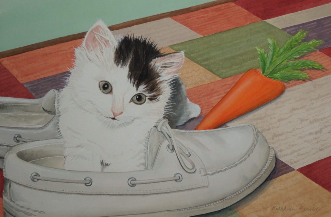 Kitten in Shoe