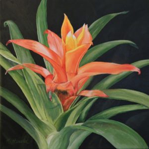 Orange Bromeliad painting