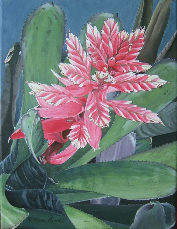 Pink Bromeliad acrylic painting