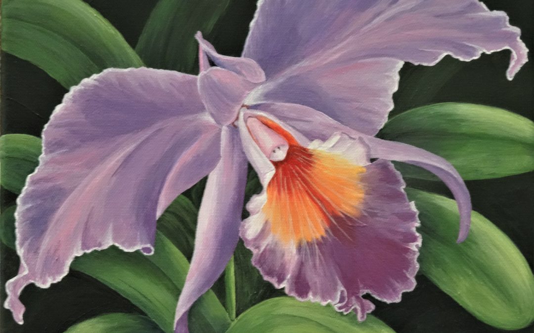Purple Orchid #2