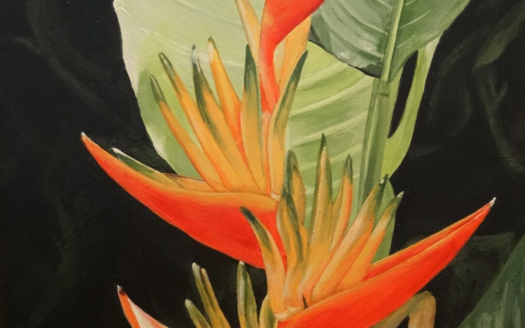 Blooming Heliconia