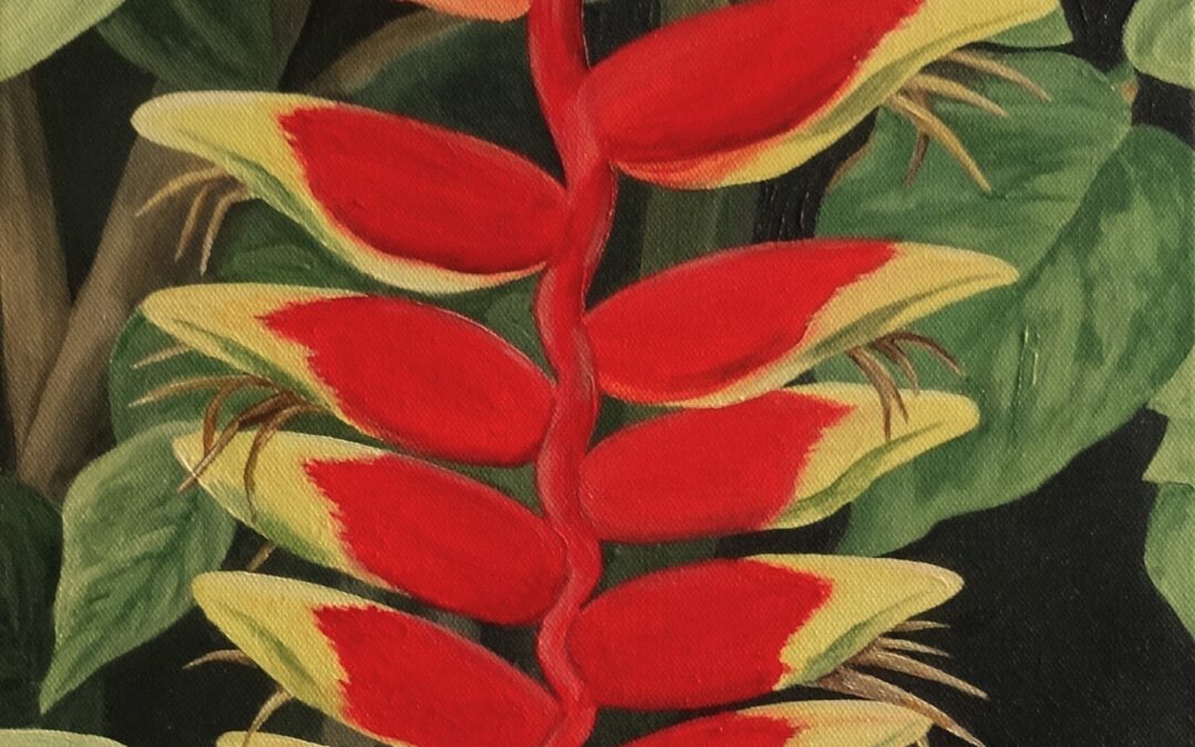 Red Heliconia